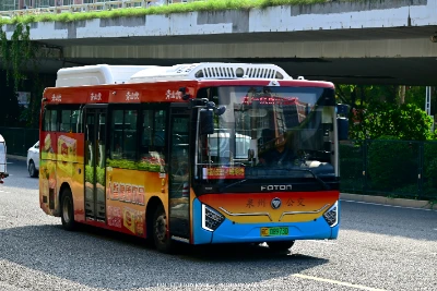 闽C 08973D