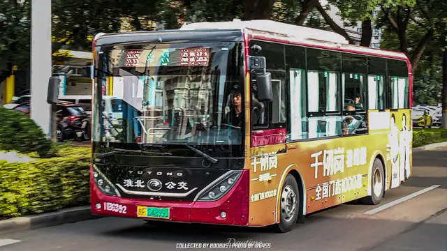 800BUS