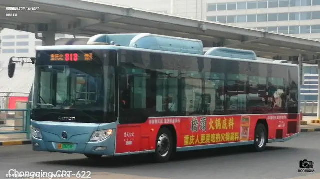 800BUS