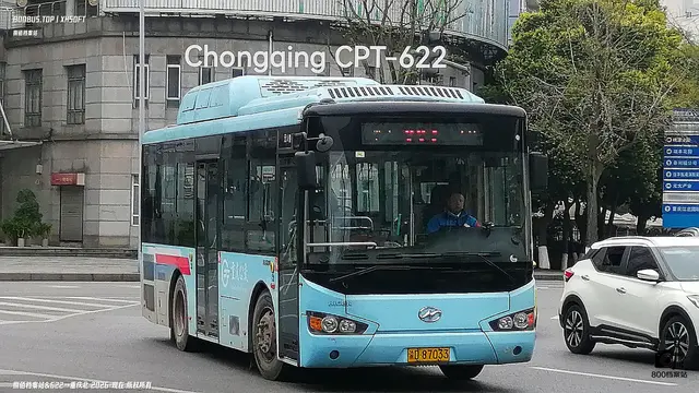 800BUS