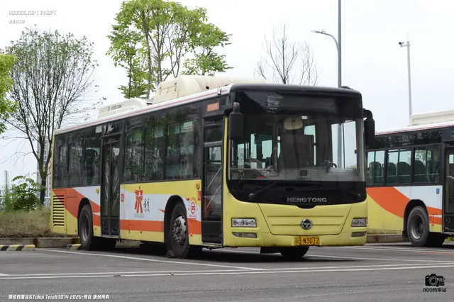 800BUS