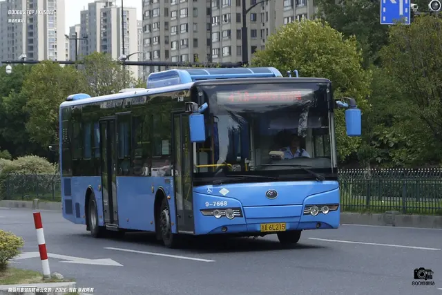 浙A 6L215