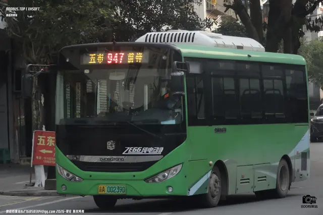 800BUS