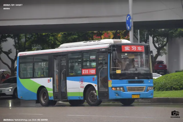 800BUS