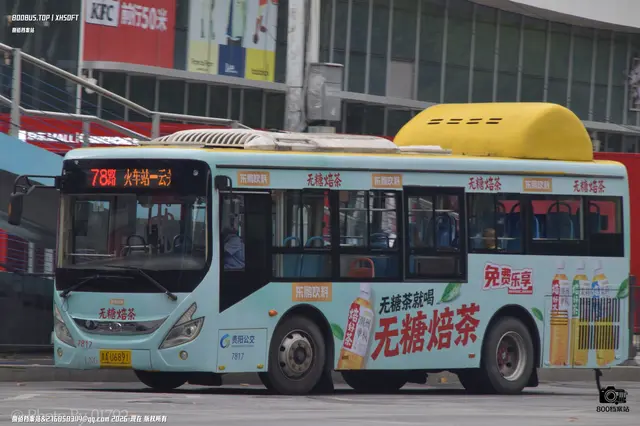800BUS