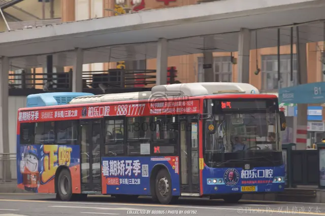 800BUS