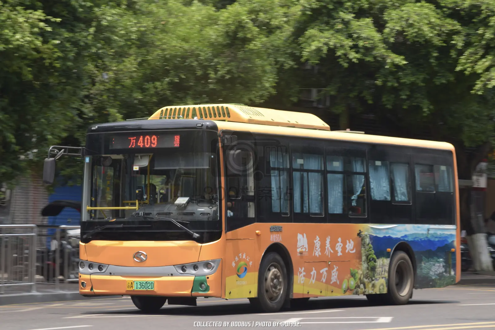 Bus Archive