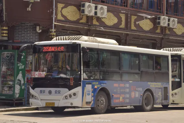 800BUS