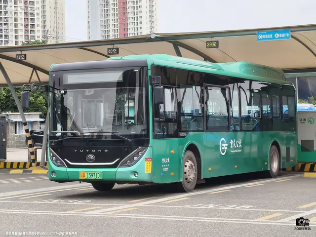 渝A 15971D