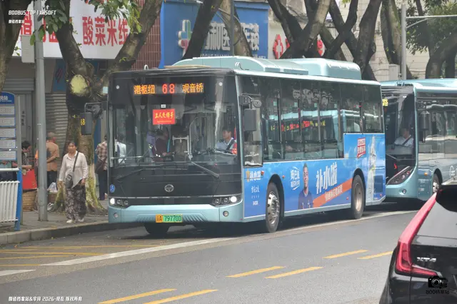 800BUS