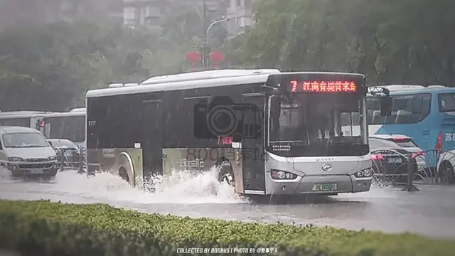 苏E 00060F