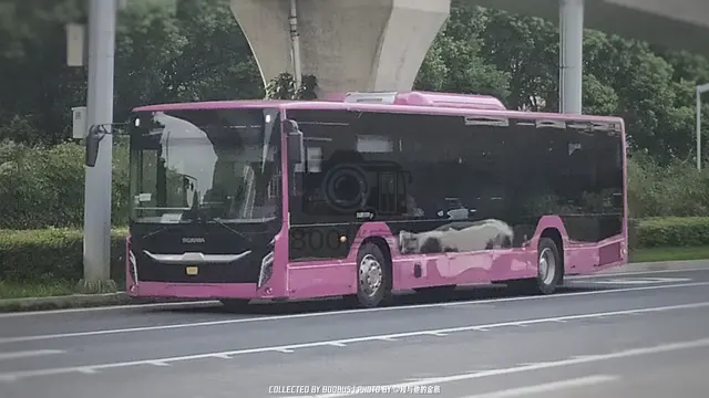 未上牌
