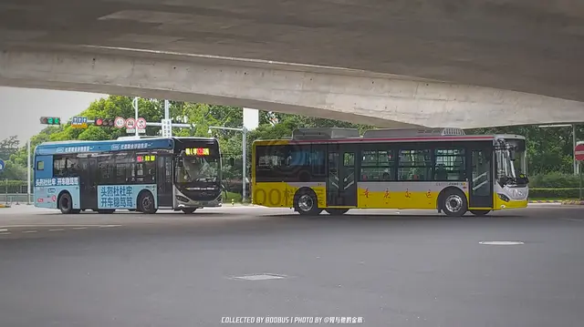 未上牌