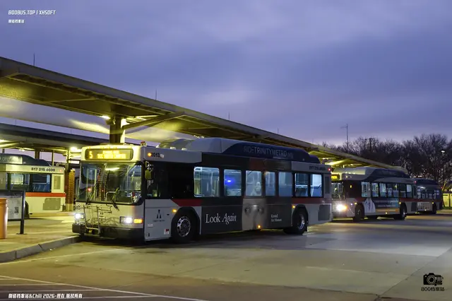 TEXAS 1440037