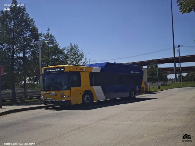 TEXAS 1652509