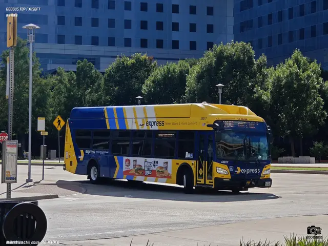 TEXAS 1438561