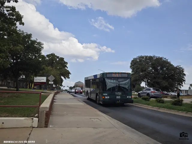 TEXAS 1331579