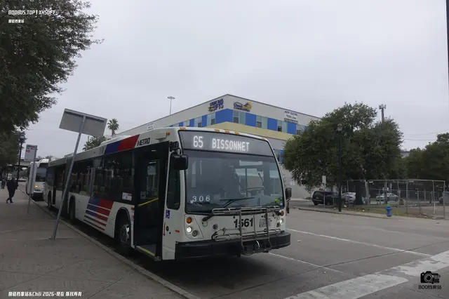 TEXAS 1169461