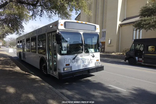 TEXAS T84262