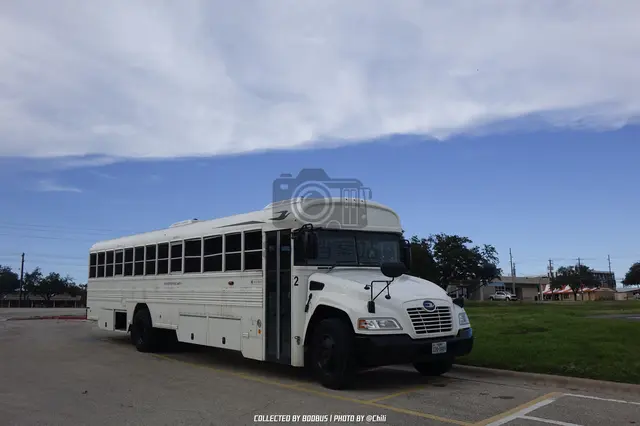 TEXAS 1203409