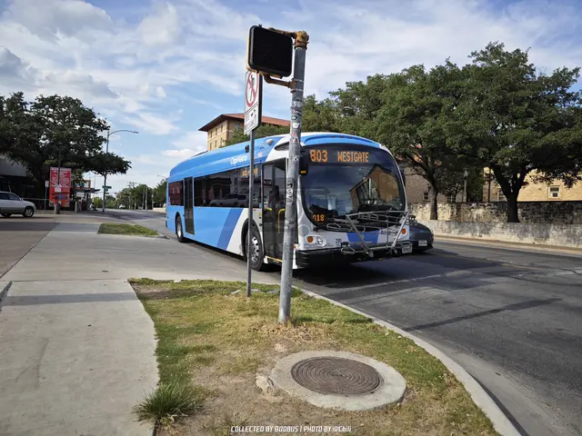 TEXAS 1409233