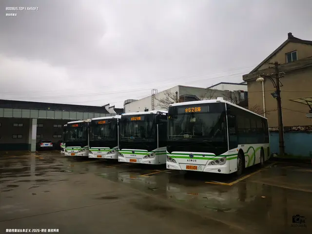 沪D R1634