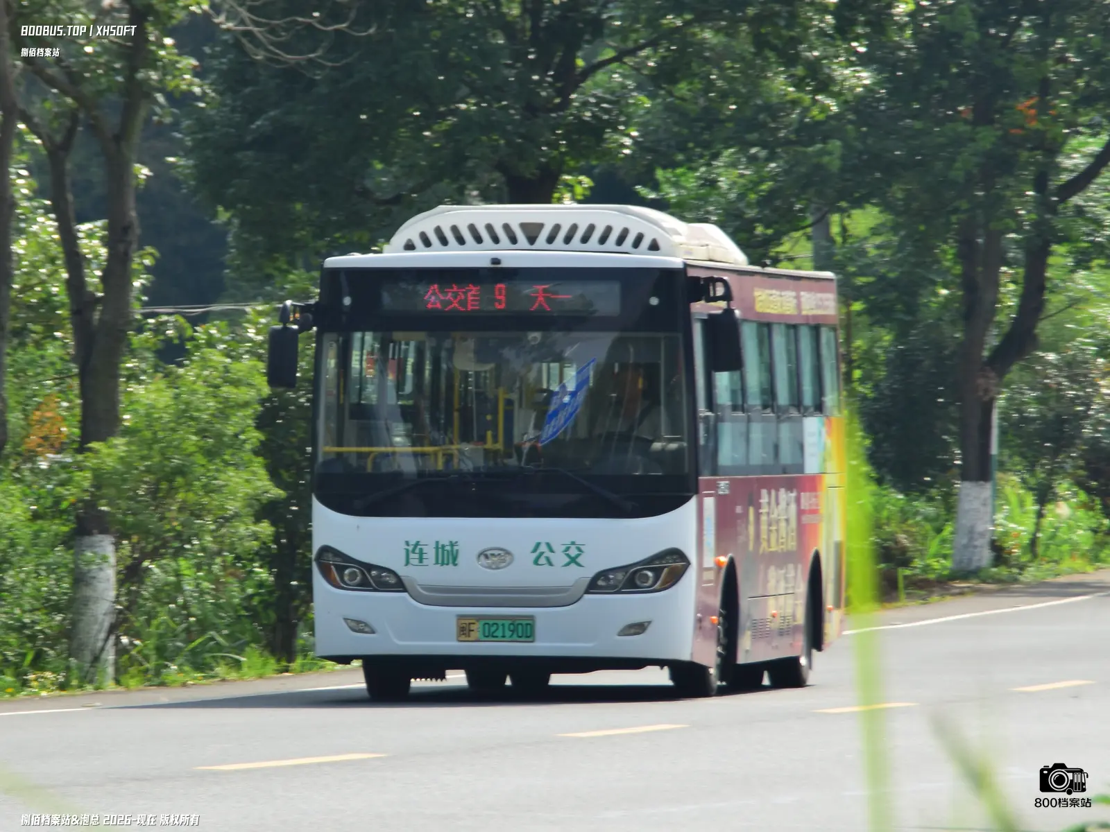 Bus Archive