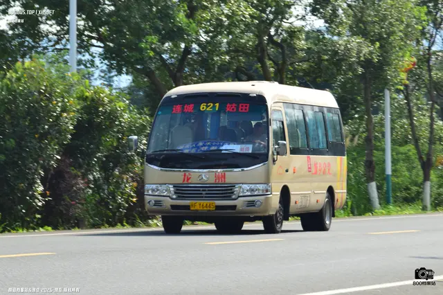 闽F Y6445