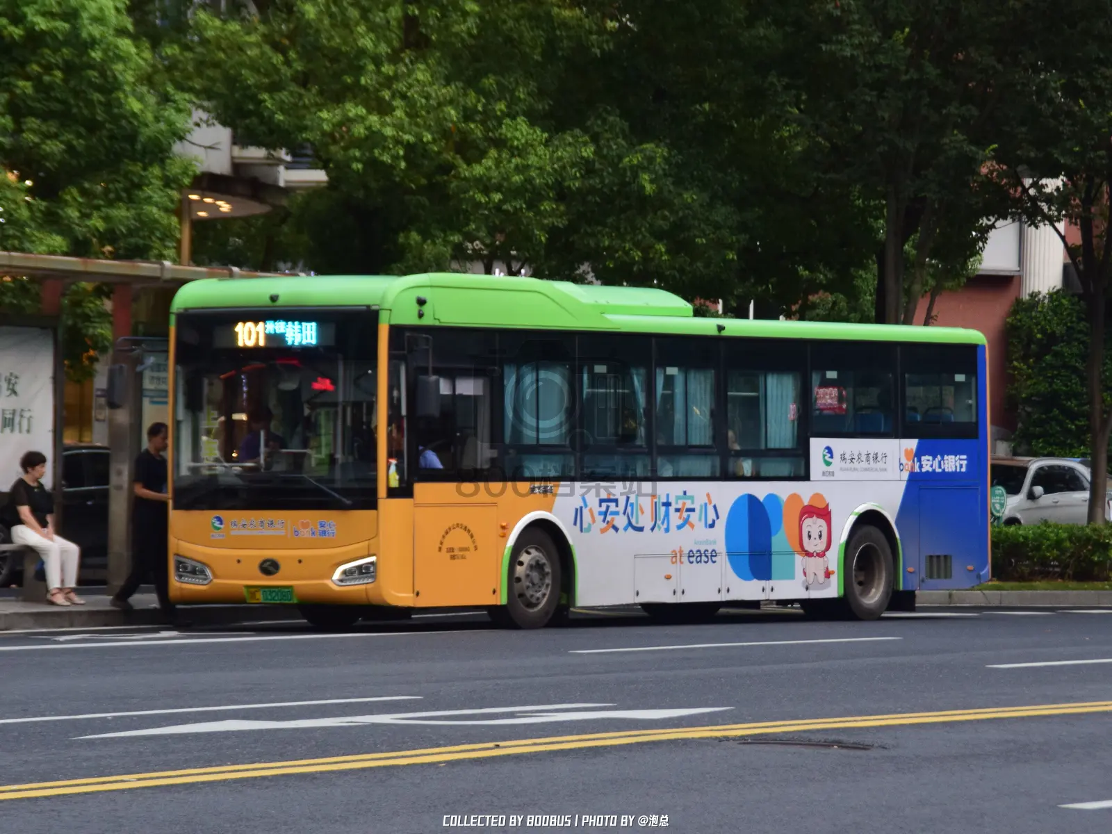 Bus Archive