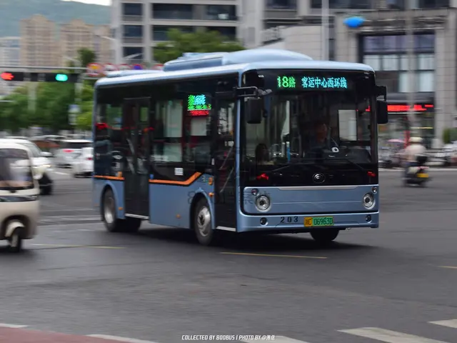 浙C 06963D
