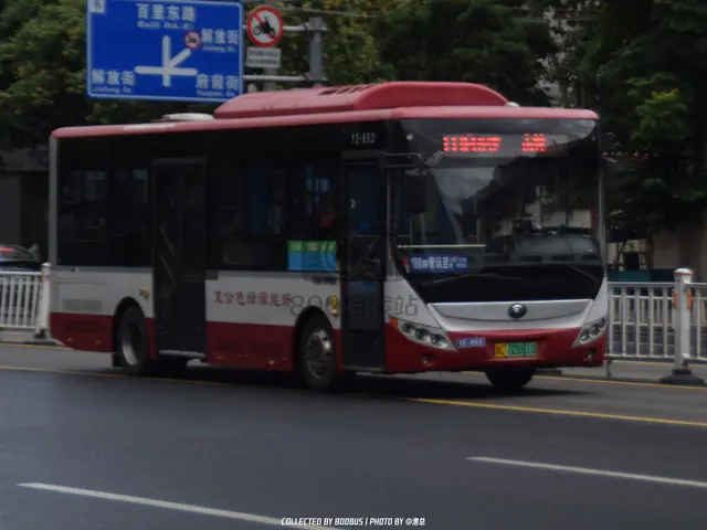 浙C 02681D