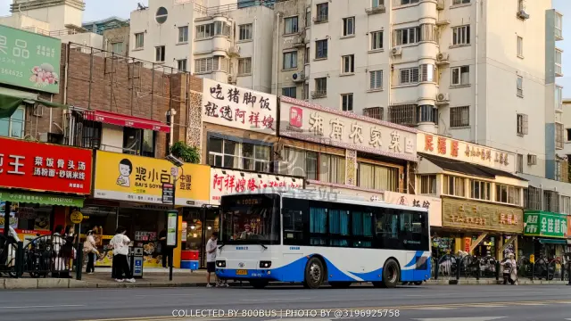 沪A H3597