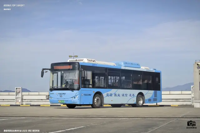 浙B 03217F