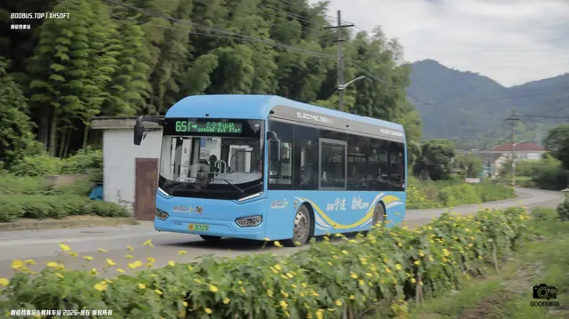 浙B 30337D