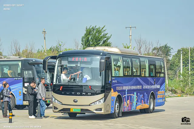 津A 33299D