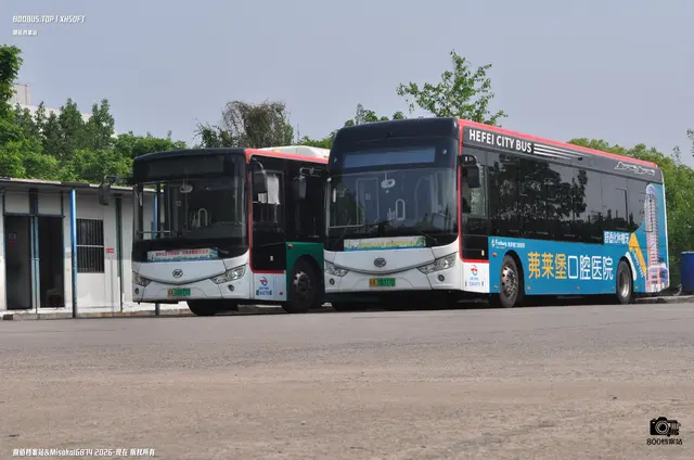 皖A 01877D & 皖A 06317D