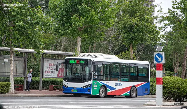 800BUS