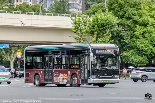 沪A 33713D