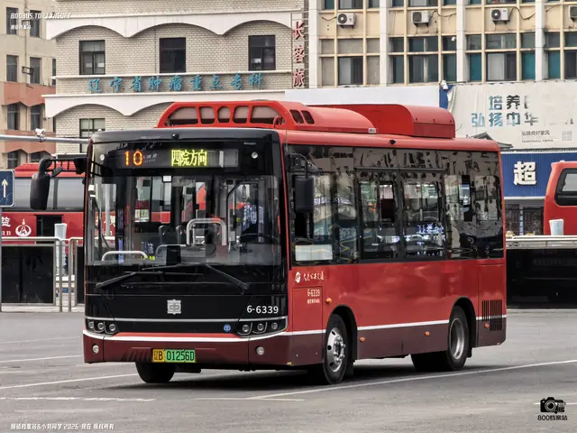 辽B 01256D