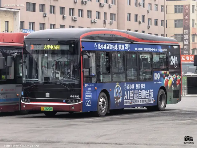辽B 08267D