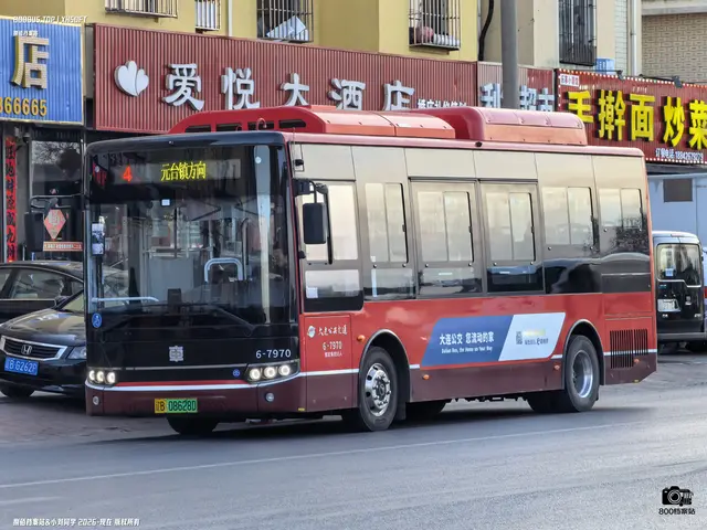 辽B 08628D