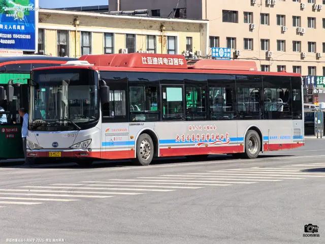 辽B M5221