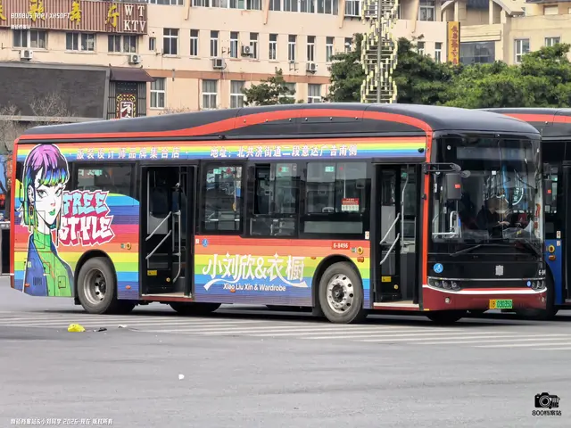 辽B 03035D