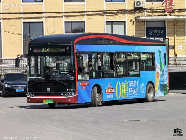 辽B 09257D