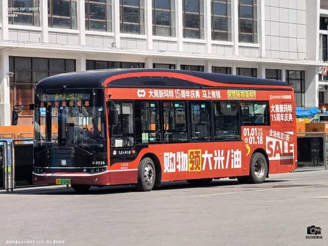 辽B 07228D