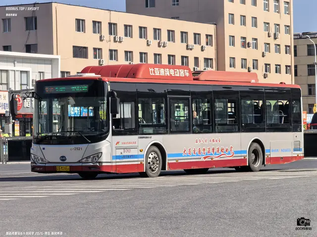 辽B M2866