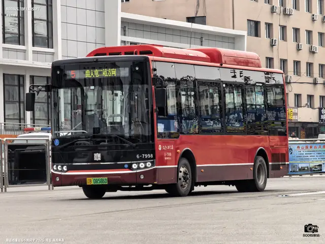 辽B 08586D