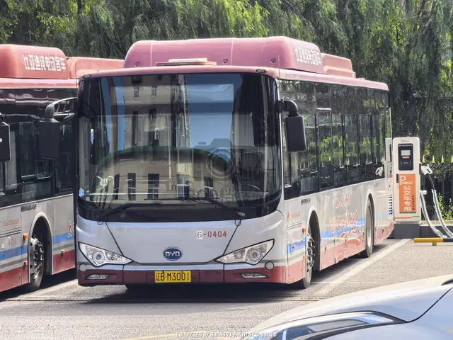 辽B M3001