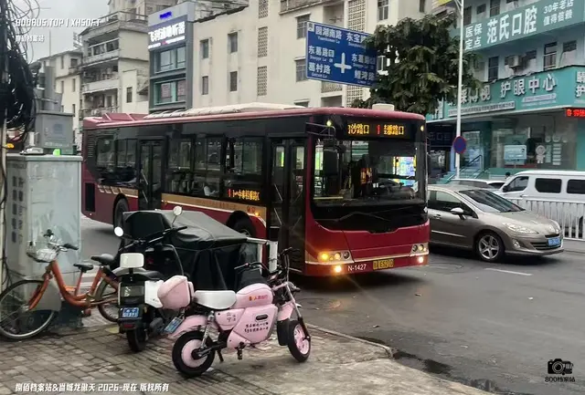 桂A E5210