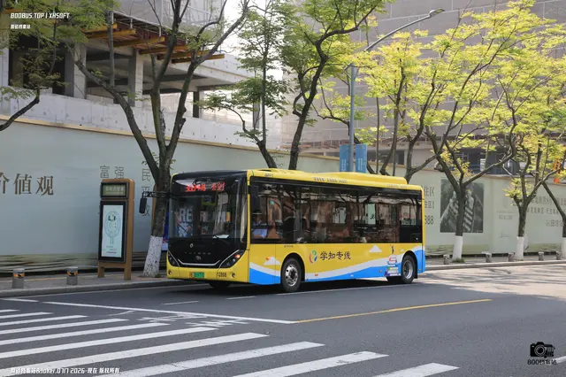 浙B 06977D
